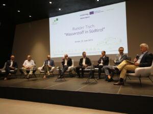 AMETHyST inter-regional exchange program: roundtable.